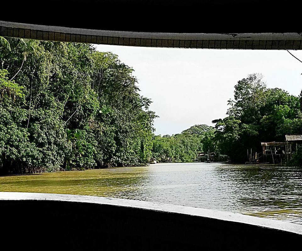 Ilha do Combu ponto do turismo ecológico e gastronômico da Amazônia 