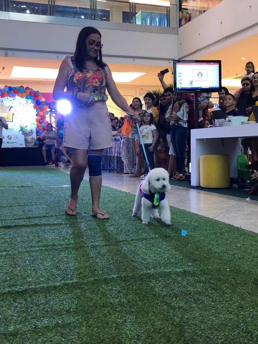 Shopping de Belém realiza ação social para pets 