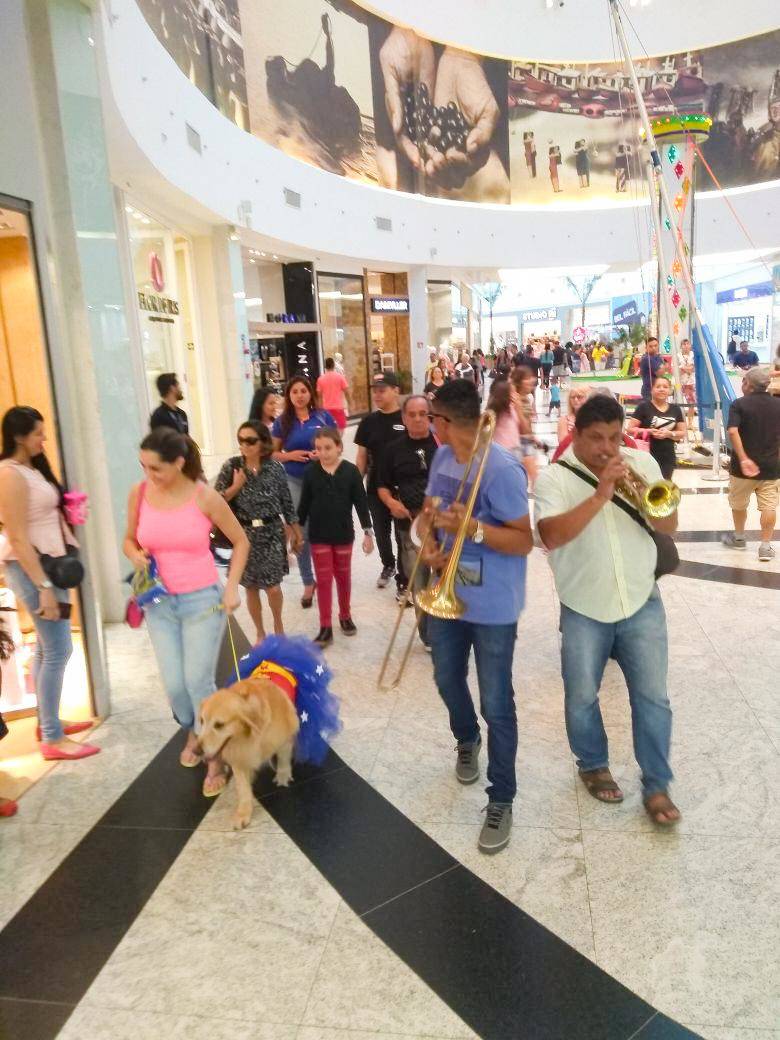 Carnaval para pets agita shopping de Belém neste final de semana 